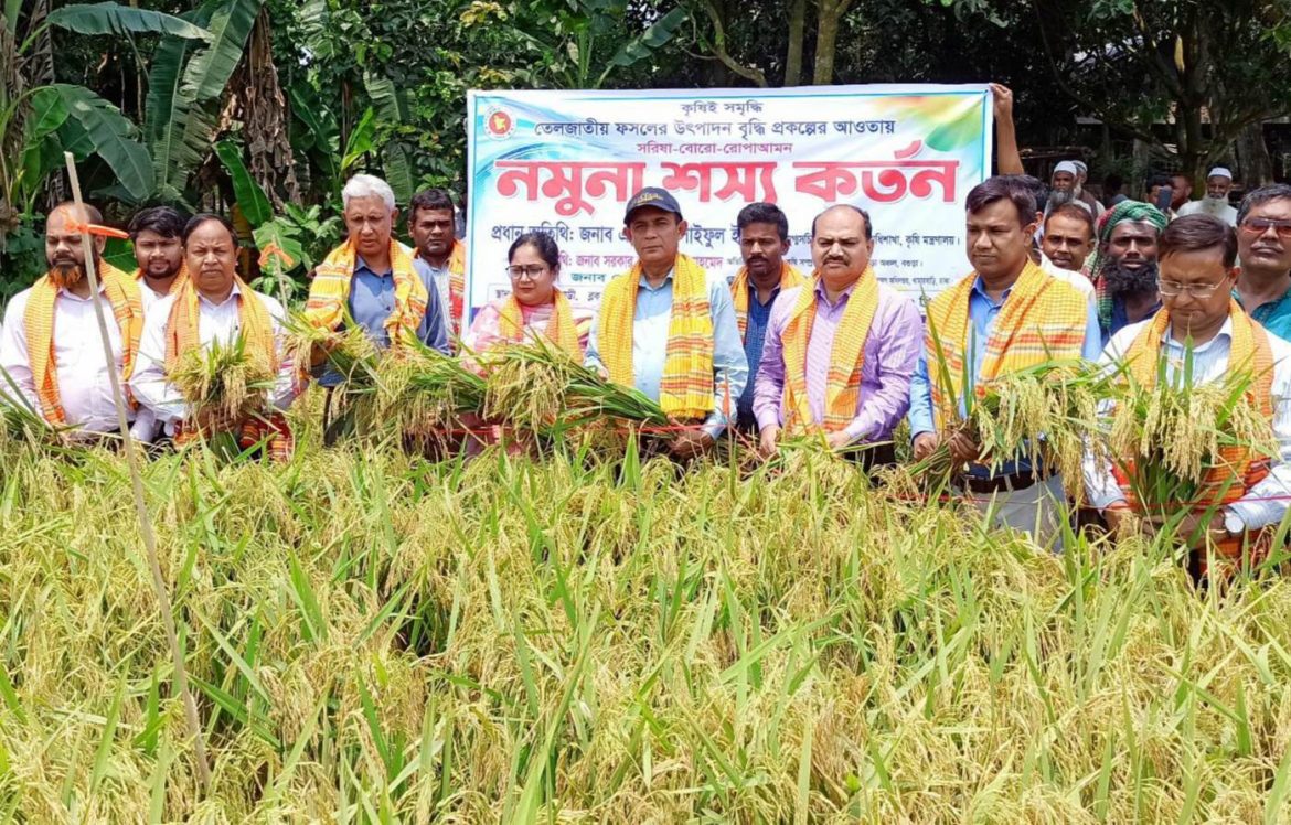 উল্লাপাড়ায় ধানের নমুনা শস্য কর্তন ও কৃষক মাঠ দিবস অনুষ্ঠিত